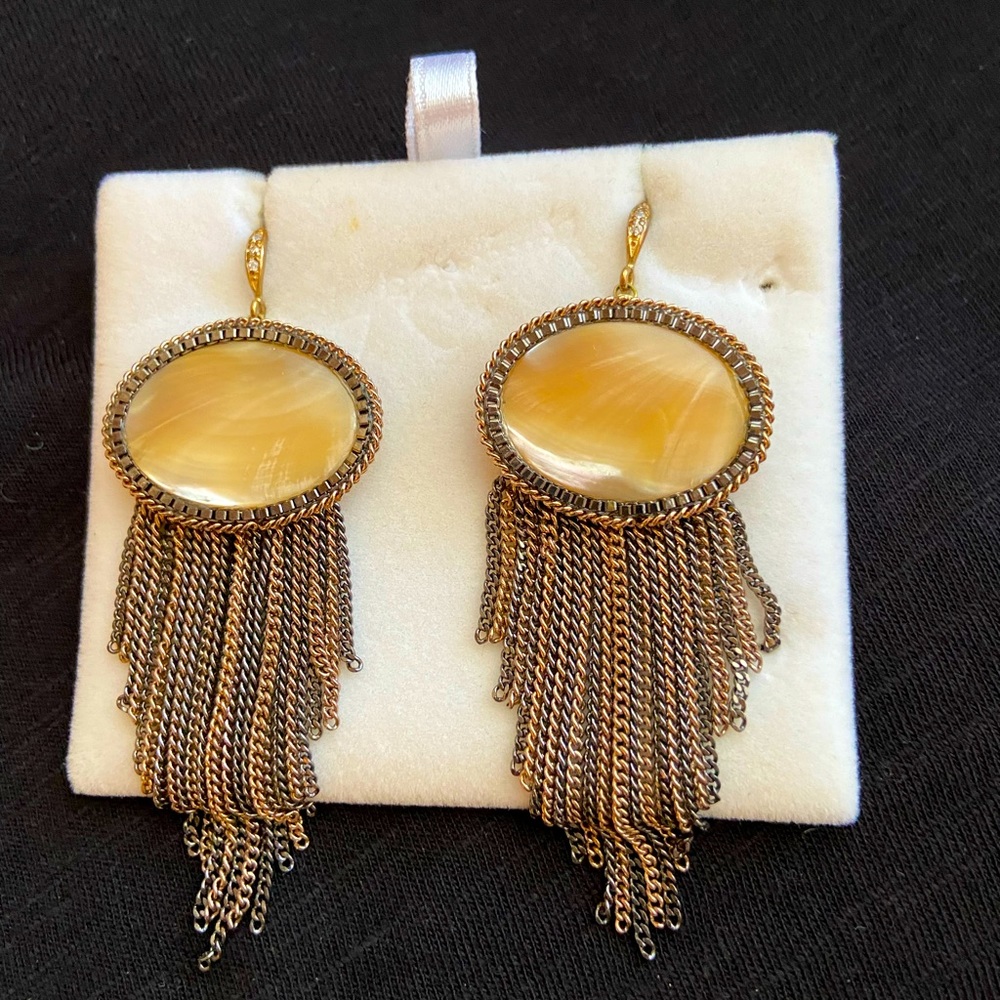 Stone fringe earrings.